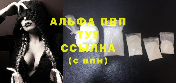 мяу мяу мука Баксан