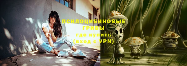 гидра Арсеньев