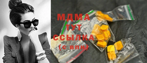 гидра Арсеньев